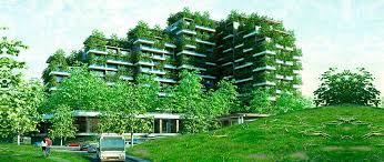 Forest In The Sky – Điểm đến sôi động trong lòng miền xanh Đại Lải