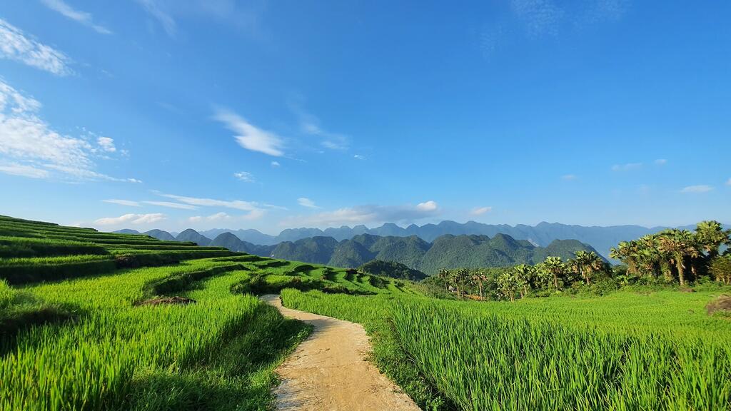 Homestay Pù Luông Discovery