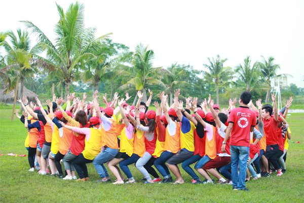 Chương trình Team Building & Gala Dinner tại Đà Lạt thích hợp cho đối tượng khách hàng khối văn phòng