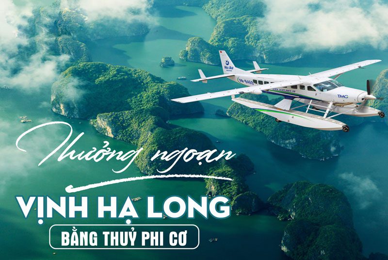 6/ 2023: Thời gian mở cửa lại & chương trình khuyến mại Thuỷ Phi Cơ Hải Âu- Hạ Long