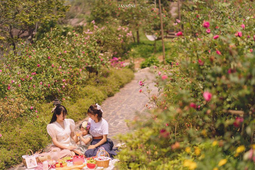 Rose Farm Homestay Sapa- homestay đẹp, thơ mộng, gần trung tâm