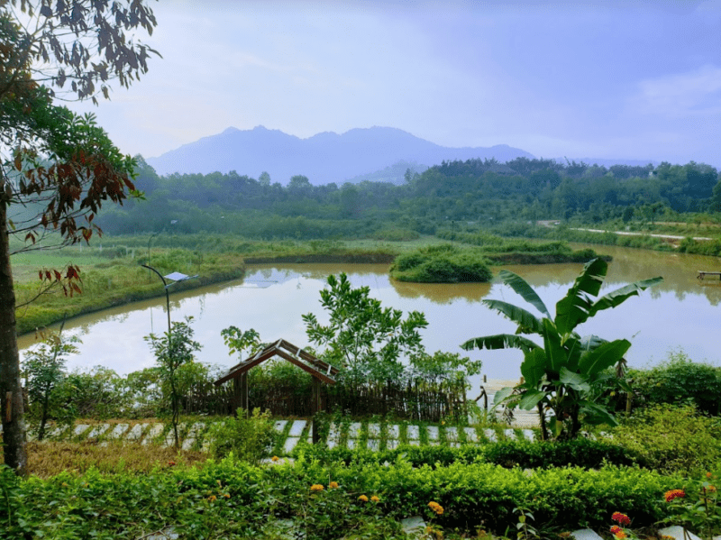 khu-nghi-duong-6Nature-Bavi-Retreat-55