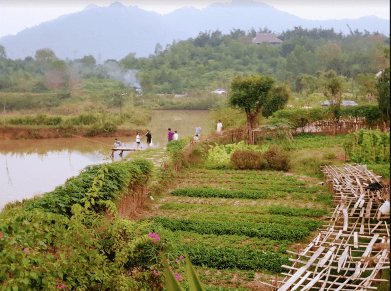 khu-nghi-duong-6Nature-Bavi-Retreat-57