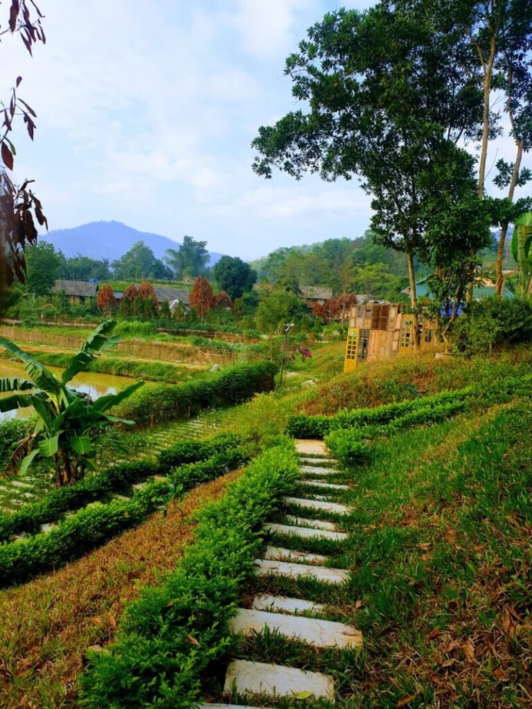 KHU NGHỈ DƯỠNG 6NATURE BAVI RETREAT – ĐẸP NHẤT TẠI BA VÌ, HÀ NỘI